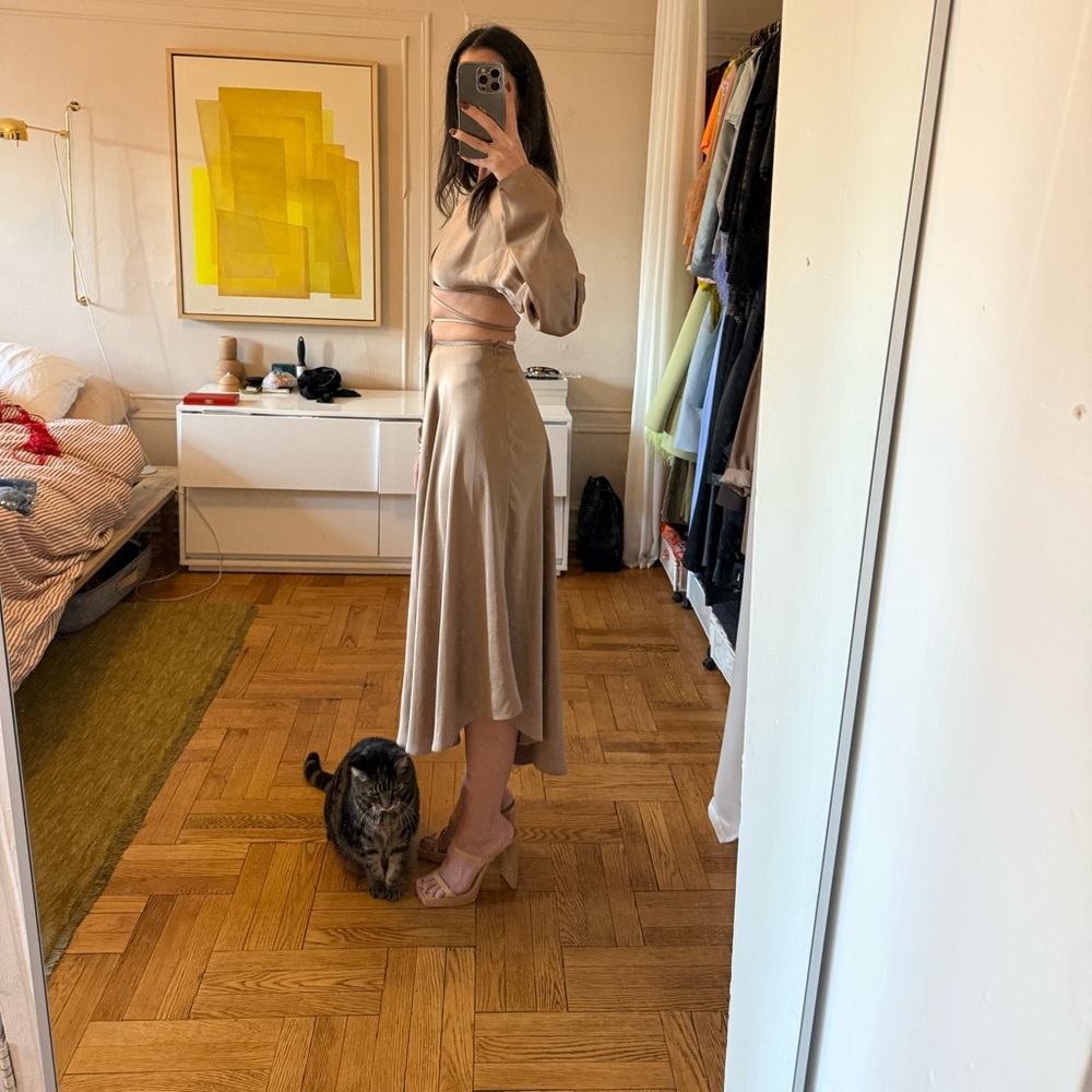 Taupe silk midi skirt by Lapointe - Picture 2 of 3